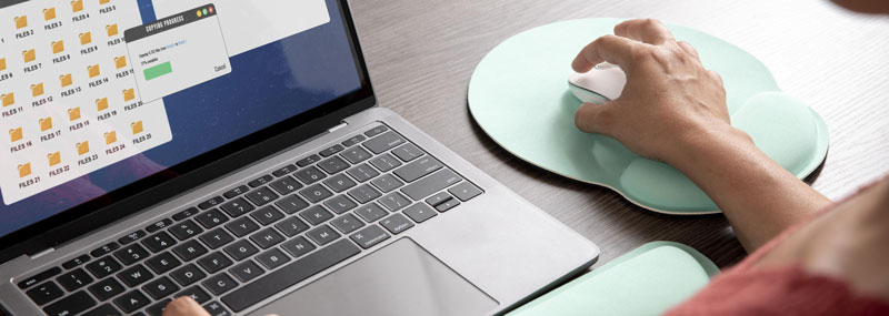 Organizzazione delle fotografie digitali 