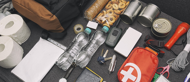 Organizzazione nella gestione preventiva delle emergenze